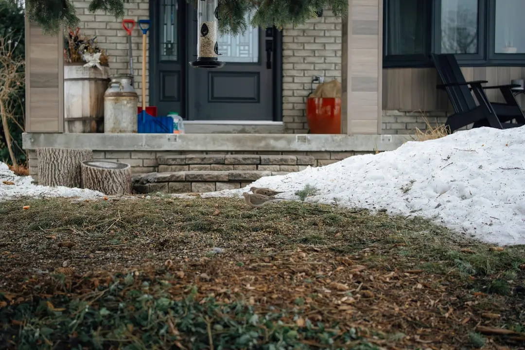 Cold-Climate Heat Pumps: What Changed, and What -20°C Really Looks Like