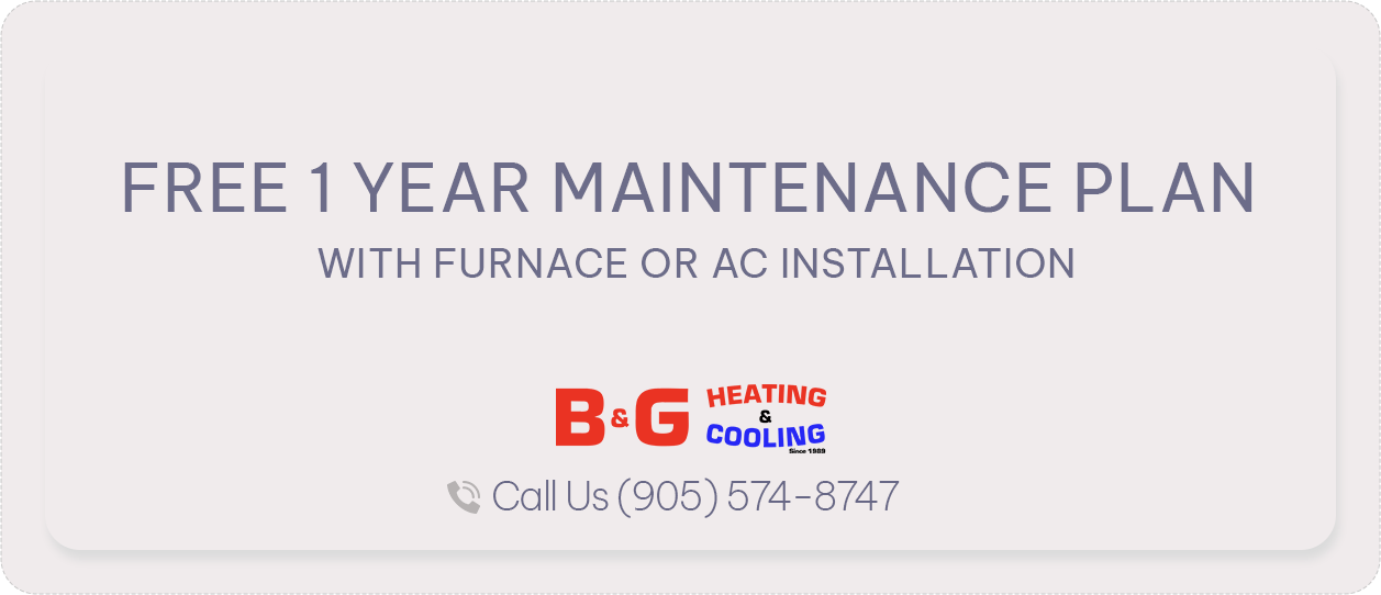 Free 1 year maintenance plan